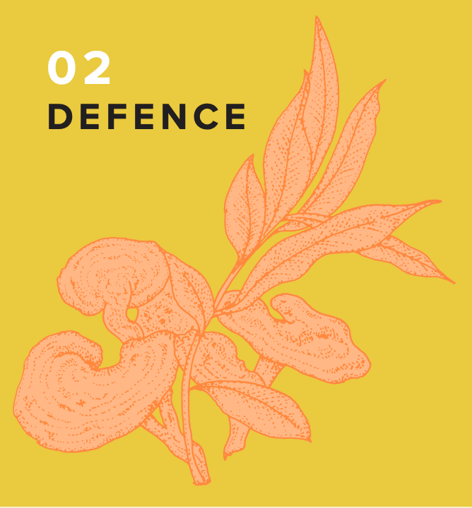 02 Defence