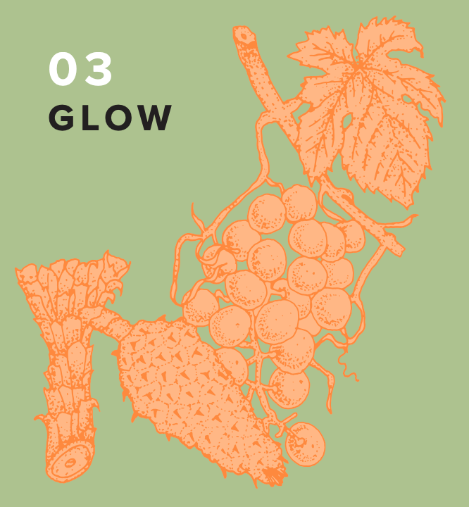 An orange botanical illustration of Grape Seed, pine bark and a leafy branch appears on a green background. "03 Glow," a synbiotic beauty supplement for skin and hair, is displayed in the top left corner with "Glow" in bold black letters.