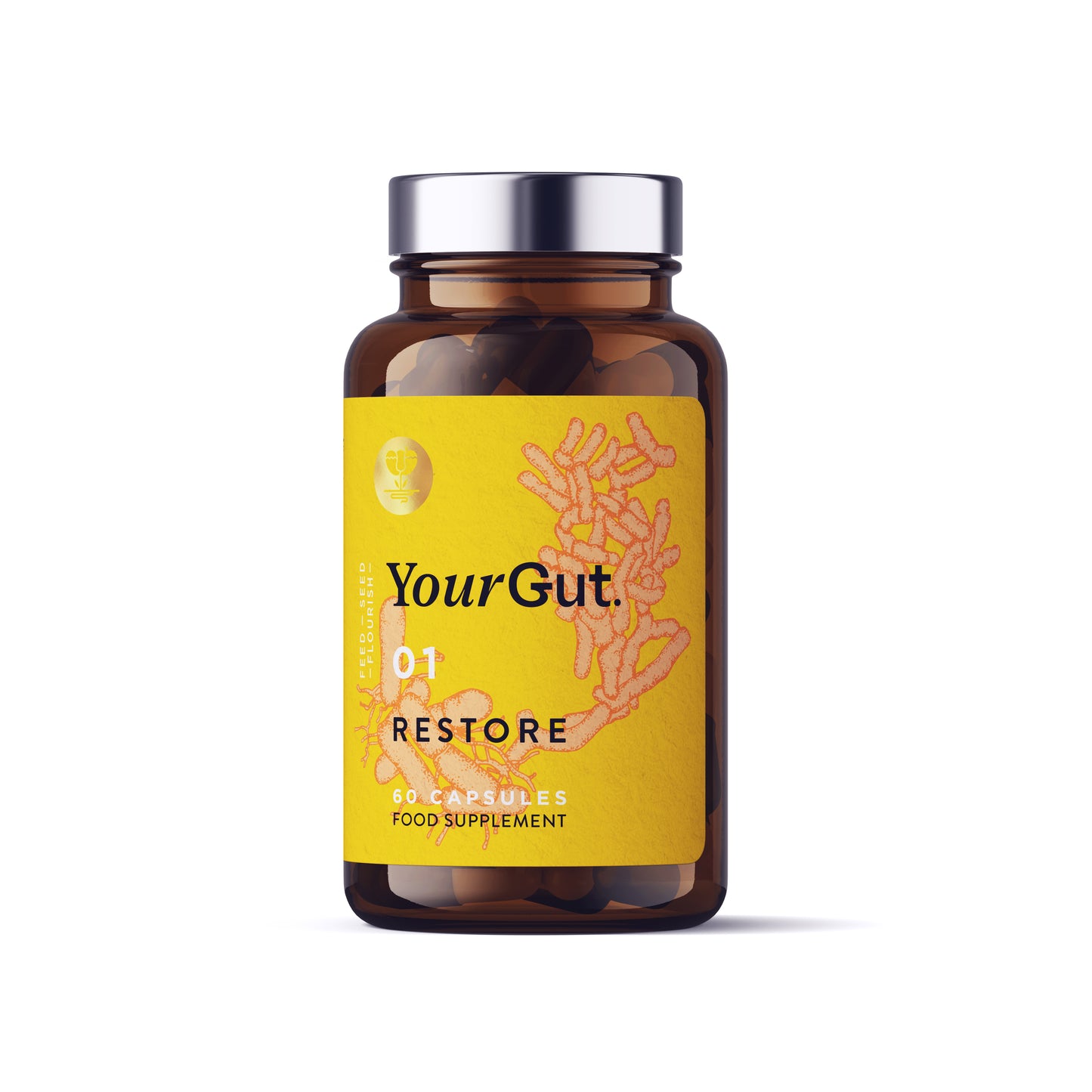 A brown probiotic supplement bottle labeled 01 Restore with a yellow label and pink illustrations, containing 60 synbiotic capsules for gut health, is set against a white background.